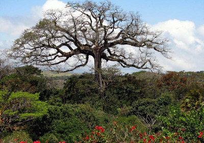 Costa Rica