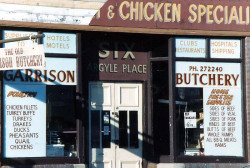 49 Butcher shop window in Invercargill  New Zealand 800