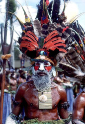 38 Papua New Guinea Warrior with Full Head Dress 800