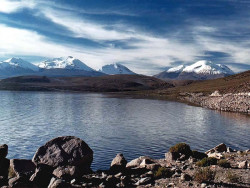 11 String of Bolivian volcanoes on the Altiplano 800