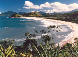 2 along the coastline of brazil well north or rio. 800