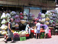 22 local fruit stand in la libertad  el salvador 800