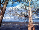 3 shoreline of the pacific ocean in costa rica 800