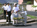 30 fresh squeezed orange juice from a mis placed shopping cart 800