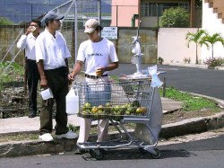 30 fresh squeezed orange juice from a mis placed shopping cart 800