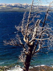 22 lake whakatipu in new zealand near queenstown 800