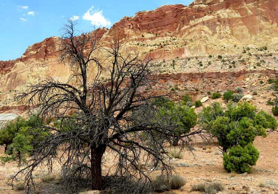 Capitol Reef