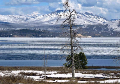 Yellowstone