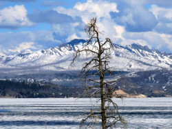 39. yellowstone lake 800