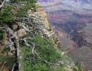 42. grand canyon 800