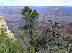 43. grand canyon 800