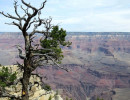 45. grand canyon 800