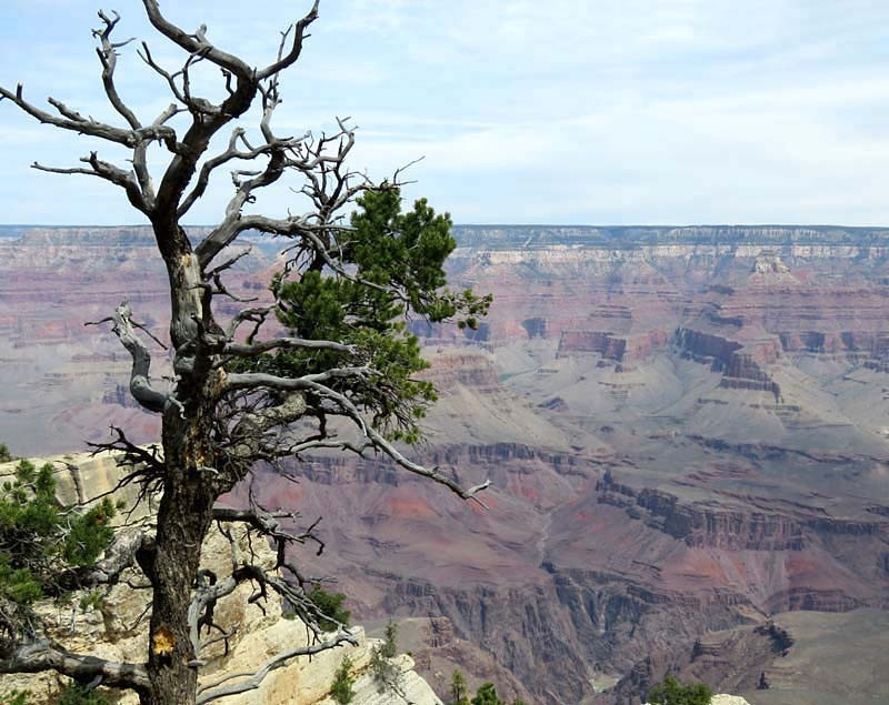 45. grand canyon 800