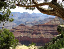 46. grand canyon 800