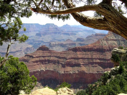 46. grand canyon 800