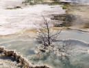 47. yellowstone sulfer fields 2 800