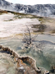 47. yellowstone sulfer fields 2 800