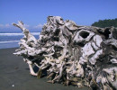 driftwood 2 800