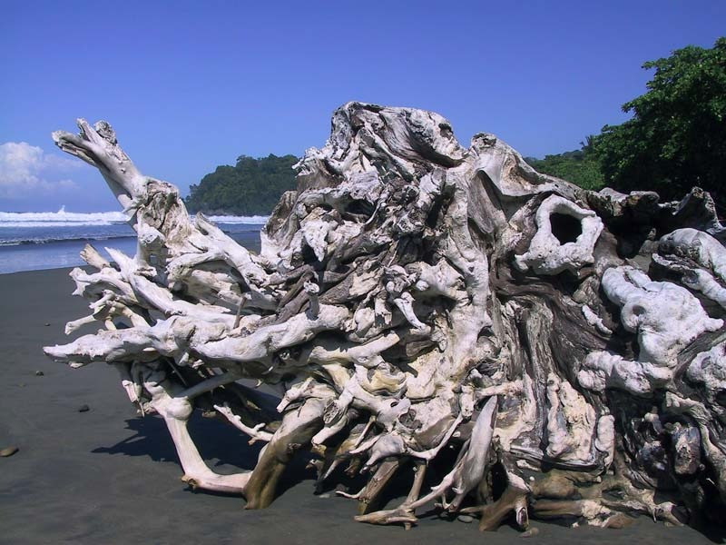 driftwood 3 800