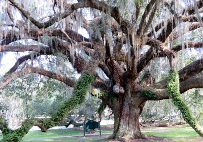 Orlando, Florida