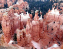 brycenp 62 800