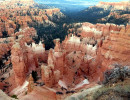 brycenp 69 800