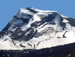 glacier np  5 800
