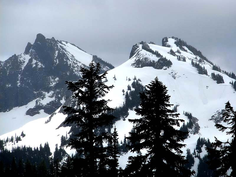mt. ranier 1 800