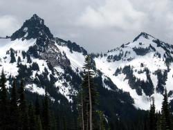 mt. ranier 10 800