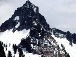 mt. ranier 9 800