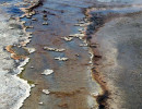 yellowstone national park   wyoming 17 800