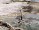 yellowstone national park   wyoming 19 800