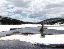 yellowstone national park   wyoming 2 800