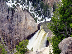 yellowstone national park   wyoming 29 800