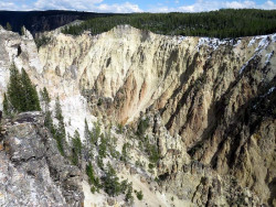 yellowstone national park   wyoming 37 800