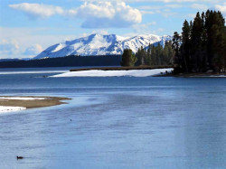 yellowstone national park   wyoming 38 800