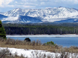 yellowstone national park   wyoming 40 800