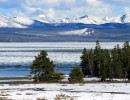 yellowstone national park   wyoming 41 800