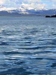 yellowstone national park   wyoming 48 800