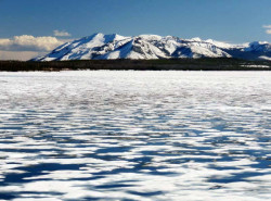 yellowstone national park   wyoming 52 800