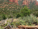 sedona red rock 13 800