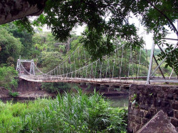 13 century old sway bridge in orotina  costa rica 800