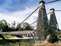 45 cable suspension bridge on the north island of new zealand 800