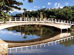 48 small bridge crossing a river in northern brazil 800