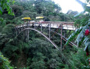 60 abandoned bridge in costa rica used for bungee jumping 800