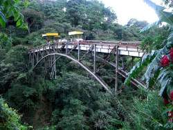 60 abandoned bridge in costa rica used for bungee jumping 800