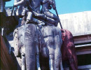 18 buddhist figures riding an elephant 800
