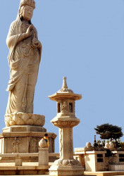 48 buddha statue at a wat in thailand 800