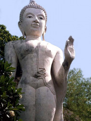 49 buddha at sukhothai  thailand 800