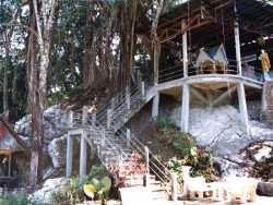 54 buddhist temple at the  sacred trees of sukhothai 800